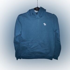 Abercrombie Kids Teal Hoodie with Logo Size 11/12